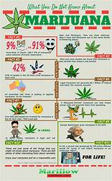Negative Facts About Marijuana Images