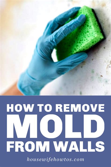 How To Get Rid Of Mold On Walls For Good Mold Remover Diy Cleaning