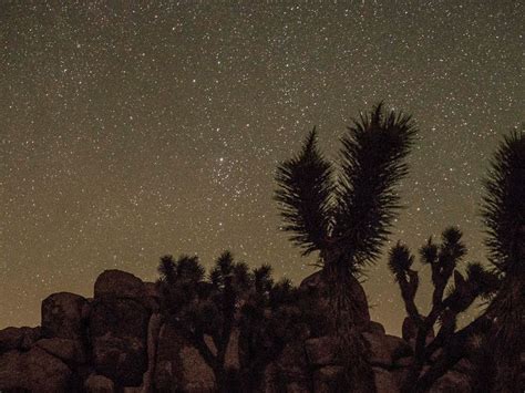 Amazing Night Sky At Joshua Tree National Park California