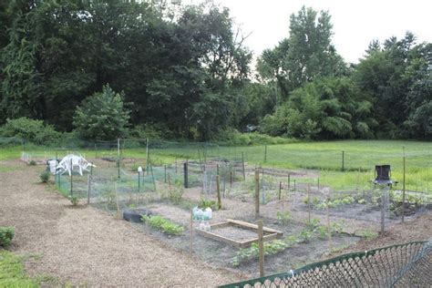 Maybe you would like to learn more about one of these? Fair Lawn Community Garden Sprouts | Fair Lawn, NJ Patch