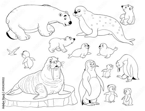 Set Of Cute Arctic Animals Coloring Page Penguins Walrus White