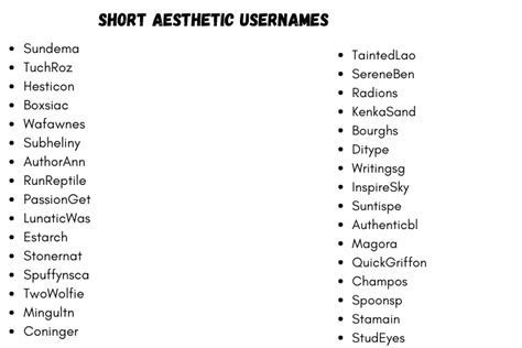 290 Catchy Short Aesthetic Usernames Ideas 2024