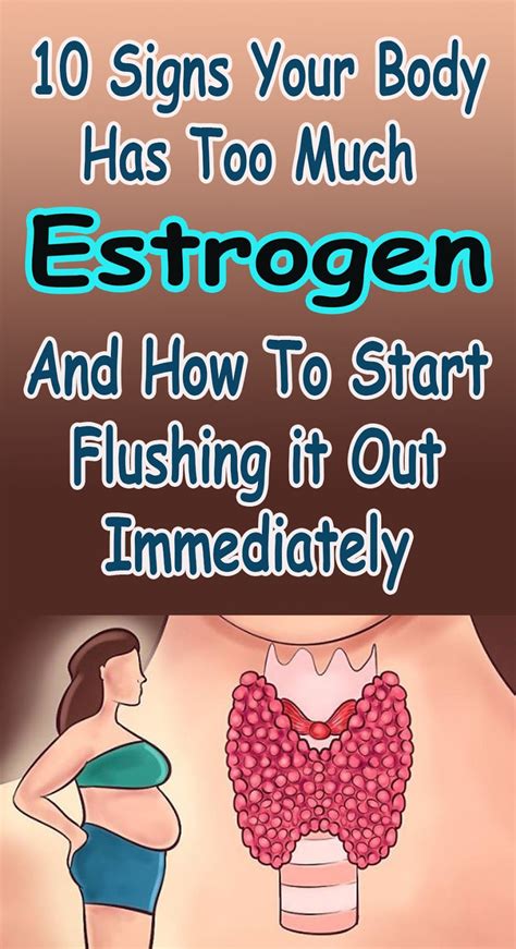 Signs Your Body Has Too Much Estrogen And How To Start Flushing It