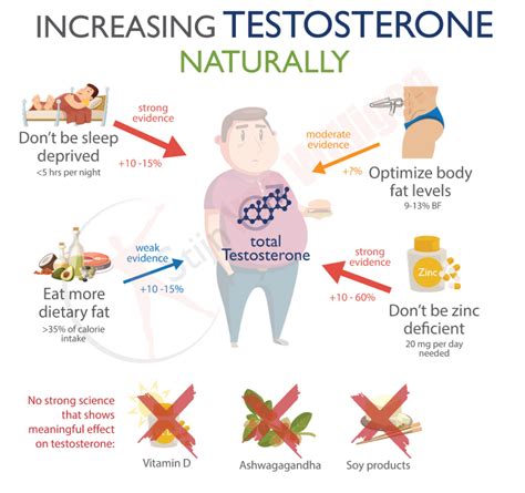 Characteristics Of Testosterone Effects Of Testosterone To Body