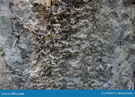 The Texture Of Limestone Rock Is Eroded By Acid And Rain Stock Image