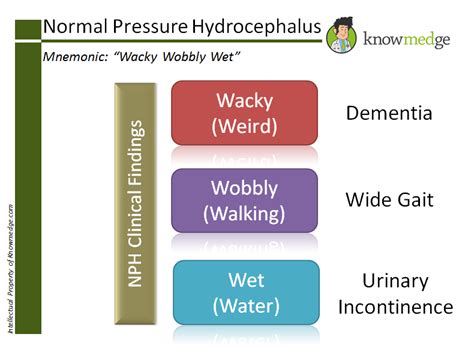 Normal pressure hydrocephalus characteristically presents with progressive gait impairment, cognitive deficits, and urinary urgency and/or incontinence. Medical Mnemonics: Normal Pressure Hydrocephalus : USMLE ...