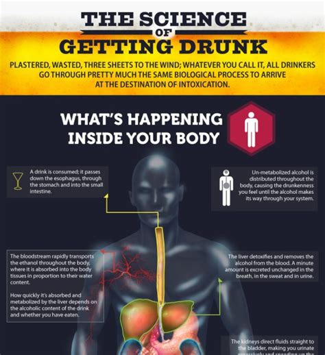 Top 5 Alcohol Infographics