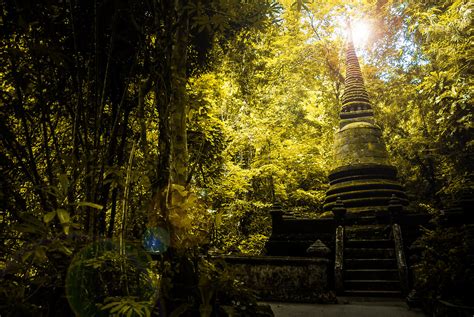 Pagoda In Forest Pagoda In Forest Artshura Marine Flickr