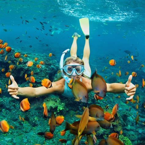 The Best Places To Snorkel In The Caribbean Underwater Paradise