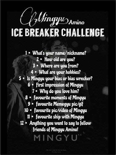 ⇢ Ice Breaker Challenge ⇠ Mingyu 민규 Amino