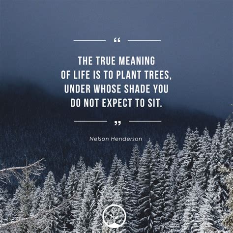 Tree Life Quotes Inspiration
