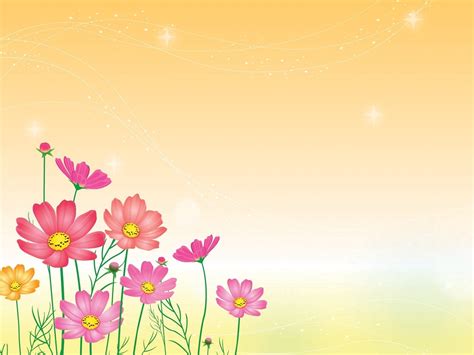 Free Photo Flower Background Beautiful Bloom Colorful Free