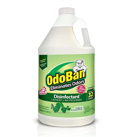 Amazon Com OdoBan Disinfectant Concentrate And Odor Eliminator Gallon Original Eucalyptus