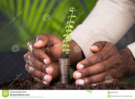 Close-up Of Person`s Hand Protecting Sapling Stock Image - Image of economy, leaf: 86370953