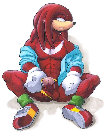 Knuckles The Echidna 1 Knuckles The Echidna Sorted