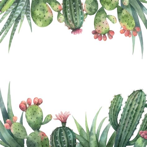 Premium Vector Watercolor Vector Card Of Cacti And Succulent Plants