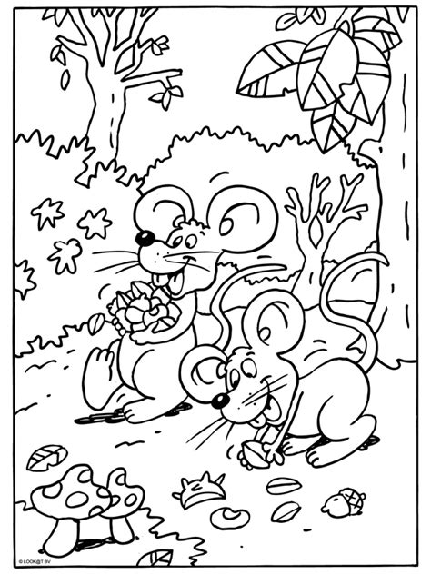 muizen in het bos herfst Pinterest Drawings and School