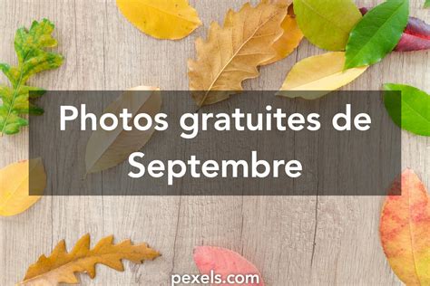 Photos De Septembre · Pexels · Photos Gratuites