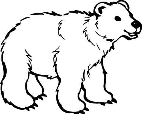 Belajar Mewarnai Gambar Binatang Untuk Anak Beruang Yang Lucu