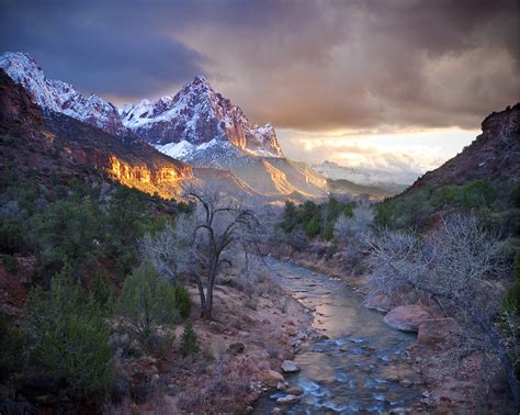 The virgin river rises on the colorado plateau and created the topography of both zion national park and the virgin river. Virgin River - Wikipedia