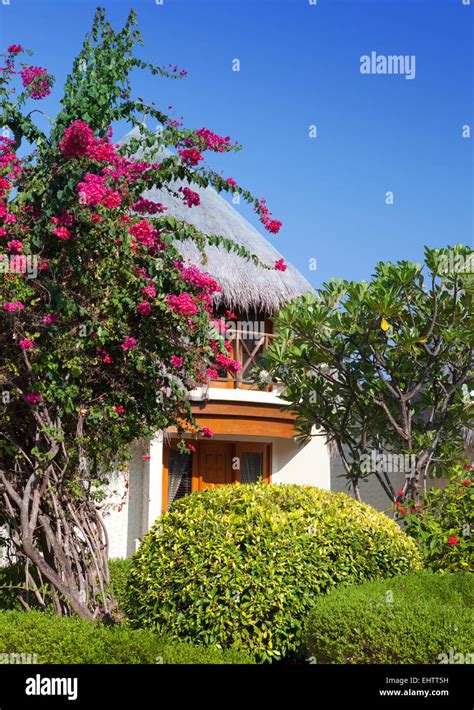 Traditional Tropical Hut In A Garden Stock Photo Alamy