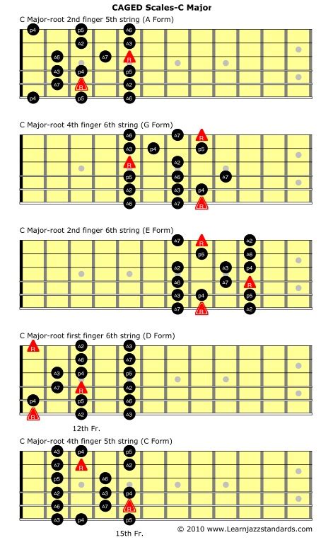 Bass Guitar Scales Finger Positions Music Instrument