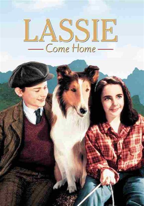 The Agitation Of The Mind Lassie Come Home
