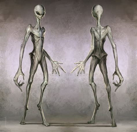 Alien One Concept The Greys By The4thPredator On DeviantArt Alien