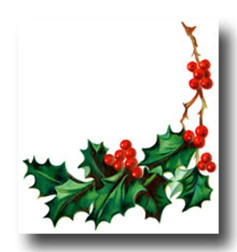 Download High Quality Holly Clipart Border Transparent Png Images Art