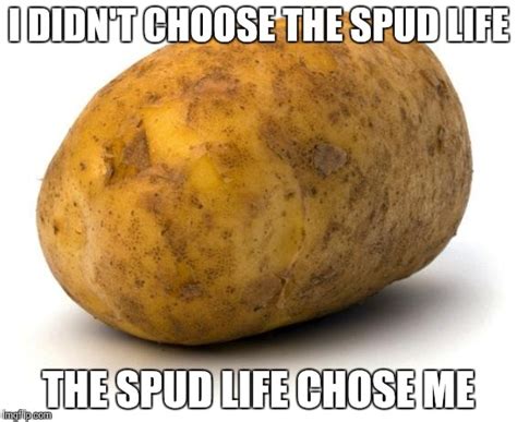 50 Funny Potato Memes That Are Guaranteed To Make Your Day