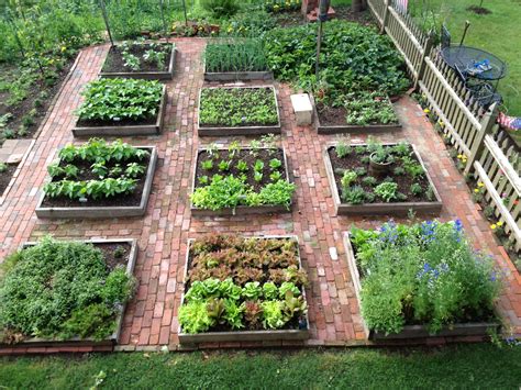 Select your plants, review your design, check your bloom calendar, describe your space, find out how many plants you need. my garden | Vegetable garden design, Backyard vegetable ...