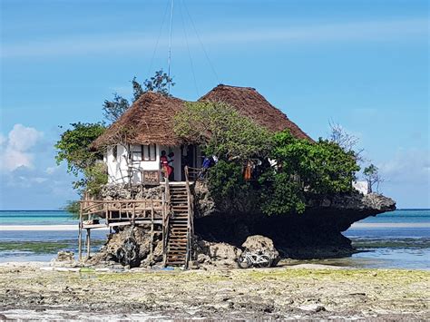 Zanzibar In Danger Of Its Popularity As A Tourist Destination Dfcentre