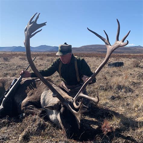 Mountain Caribou Hunt Huntin Fool