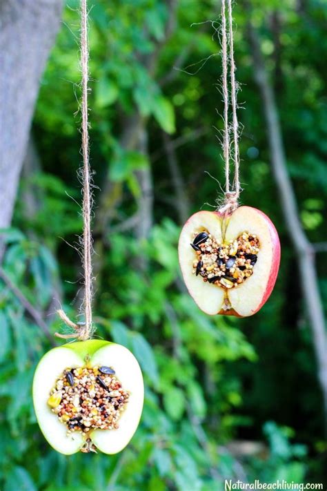 How To Make Apple Birdseed Homemade Bird Feeders Everyone Loves Easy Fall Crafts Crafts For