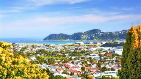Wellington 2021 Top 10 Tours En Activiteiten Met Fotos Dingen Om