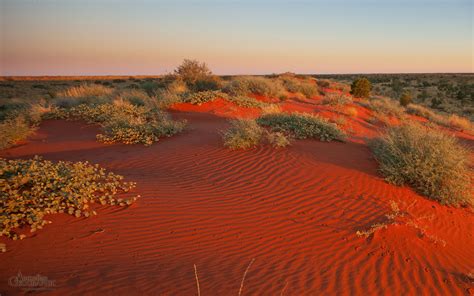 The Stunning Red Desert Australian Desert Landscape Photos