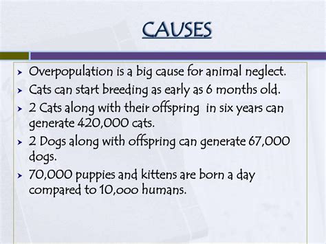 Ppt Animal Cruelty Powerpoint Presentation Free Download Id3526366