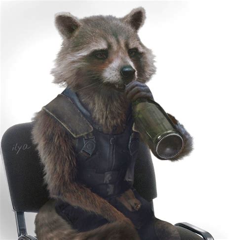 100 Followers My Work Is Worth Your Attention Rocket Raccoon