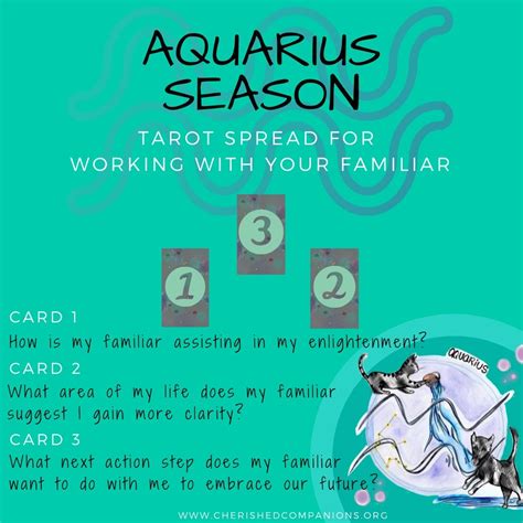 aquarius season happy aquarius season by caitlin gawa medium