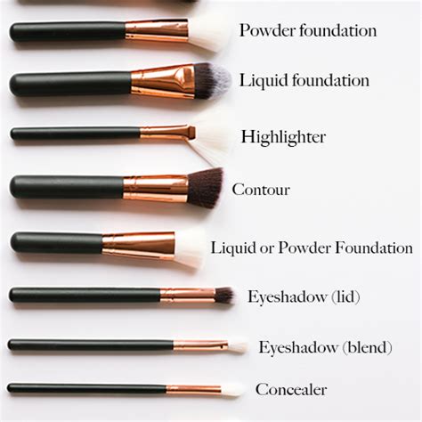 printable guide to makeup brushes