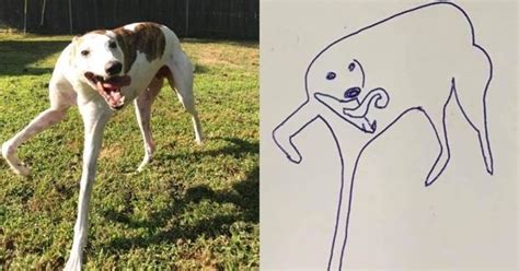 A brindle and white pit bull terrier mixed breed dog sitting outdoors and scratching at its collar. Cet artiste fait des dessins absolument géniaux de son ...