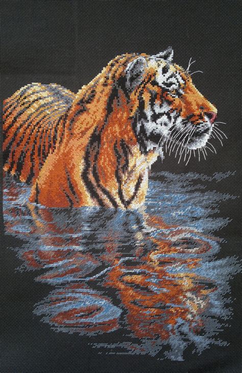 Tiger In Water Cross Stitch By Ouraion On DeviantArt