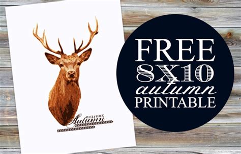 Deer Prints Free Printable Deer Decor Somewhat Simple
