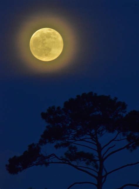 Full Moon Friday The Thirteenth Photograph By David Knowles
