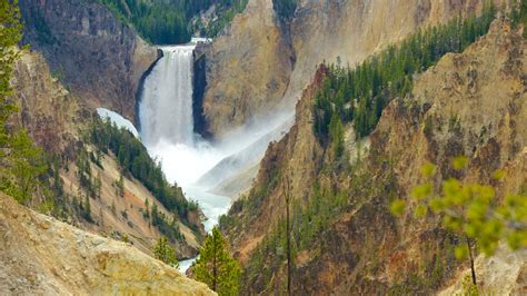 211341 Yellowstone National Park 