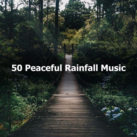 50 Peaceful Rainfall Music Album By Peaceful Nature Music Spotify