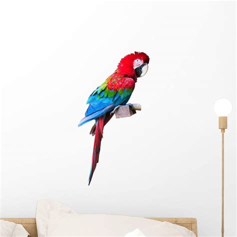 Wallmonkeys Red Macaw W Clipping Wall Decal Peel And Stick