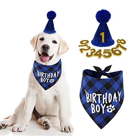 10 Doggone Adorable Ts To Celebrate Your Pups 1st Birthday Furry