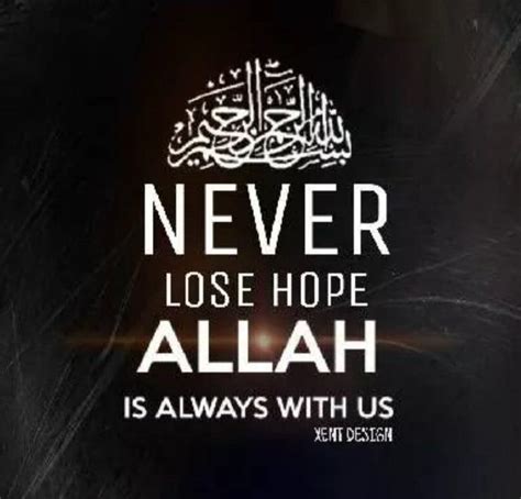 Halal Wisdom On X Islamic Quotes Never Lose Hope Quotes