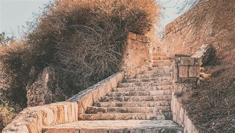 The Tower of Babel - Olive Tree Blog